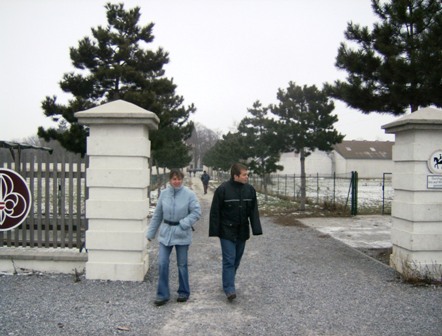 Eine Allee vor Schlo Trumau