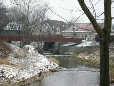 Wasserfllchen an der Triesting