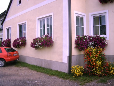 Schner Blumenschmuck in Weinpolz
