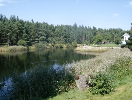 Blick ber den Teich in Altnagelberg