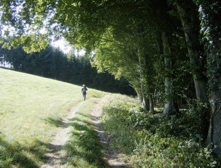 Schner Waldrandweg