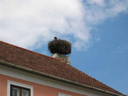 Der Klassiker im Burgenland: Ein Storchennest am Rauchfang