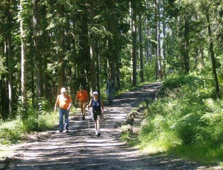 Karin mit den Schweizern durch den Wald