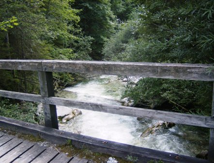 Wo der Wildbach rauscht