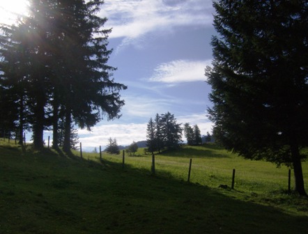 Idyllischer Almenblick