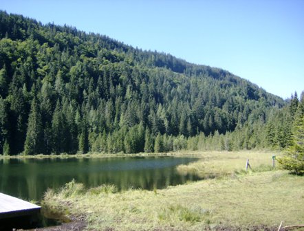 Blick ber den Spechtensee