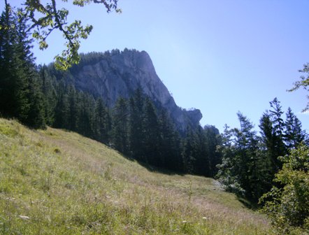 Gindlhorn