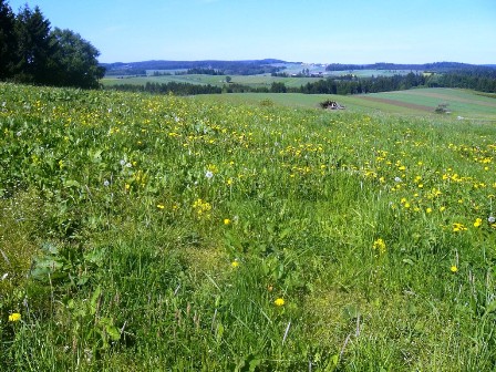 Wunderbarer Blick übers Land um Albrechtsberg