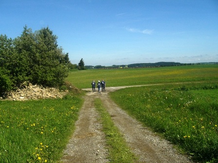 Auf schönen Feldwegen kann die Aussicht so richtig genossen werden