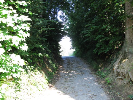 Durch diese hohle Gasse muß sie kommen!