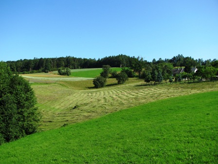 Blick in die Erhebungen um Schönleiten