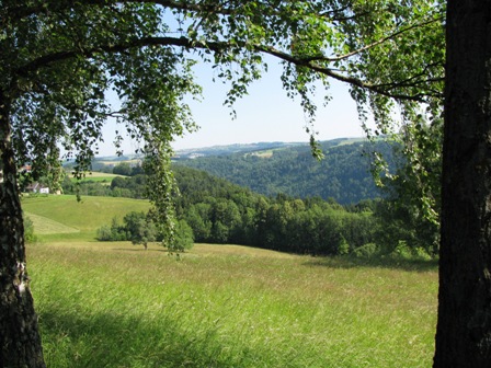 Herrliche Ausblicke ins Donautal