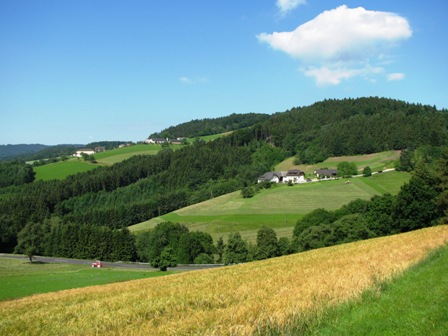 Die Landschaft um 'Oed in Bergen'