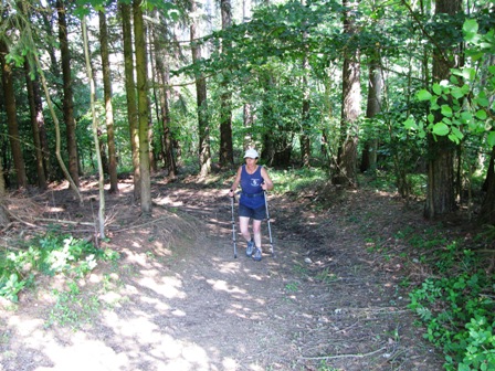 Ein Anstieg durch einen herrlichen Wald ist zu bewältigen