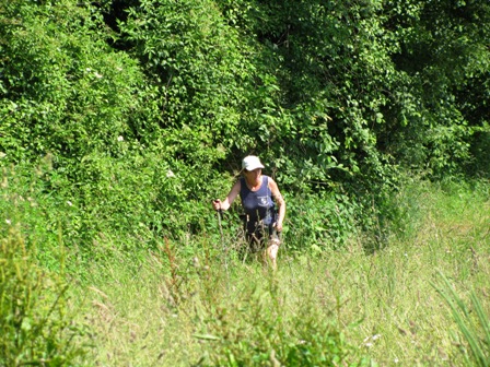 Danach gehts über eine Wiese etwas knackiger zur Sache