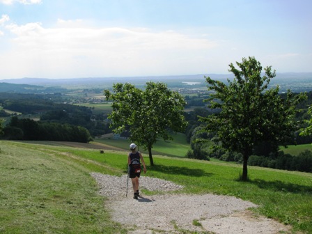 Danach gehts bergab mit Blick Richtung Hartkirchen und Aschach an der Donau