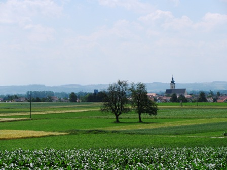 Blick auf Hartkirchen