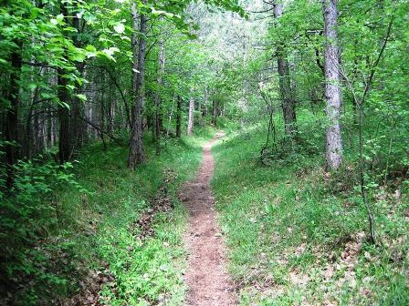 Schöner Pfad Richtung Vöslauer Hütte