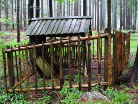 Zutritt verboten! Auch für Wild?