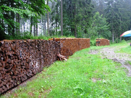 Her war der NÖ-Meister im Holzschlichten am Werk!