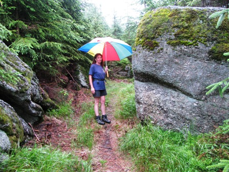 Zirberl zwischen typischen Waldviertler Gesteinsformationen