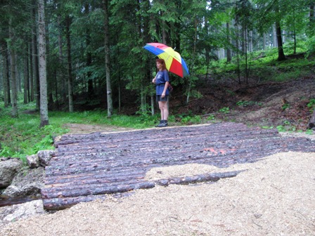 Rundling-Steg mitten im Wald
