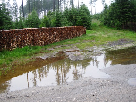 Oder ist der Teich hier????