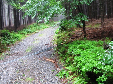 Auf den letzten Metern ist noch eine kleine Steigung durch ein Waldstück zu bewältigen