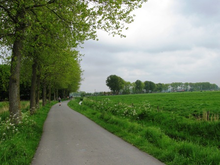 Ein Blick in die Ferne