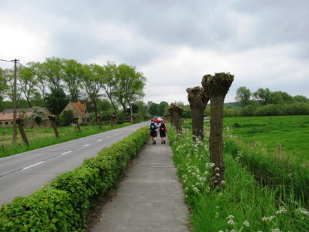 Auf einem Radweg entlang der Straße - auch hier die beschnittenen Bäume