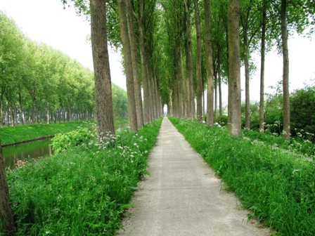 Endlose Weiten in der Allee neben dem 'Leopoldkanal'