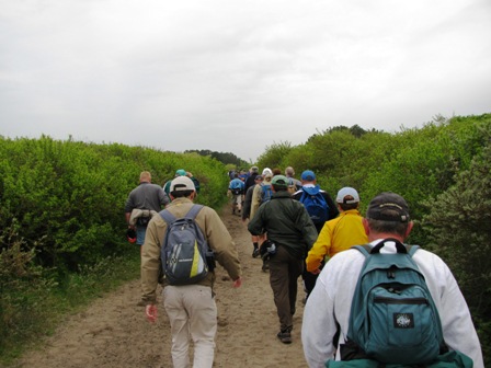 Jetzt gehts weiter durch die Dünenlandschaft etwas absteits