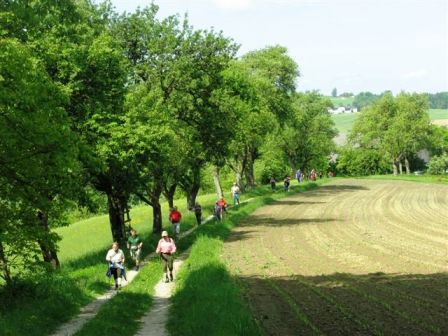 Zahlreiche Wanderer genießen den wunderschönen Frühlingstag