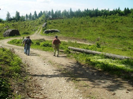 Über den Kahlschlag gehts bergab