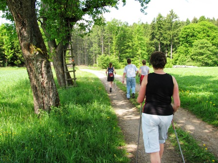 Auch die Gruppe am 20er marschiert auf schönen Waldwegen...