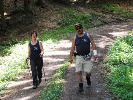 Die Quaxis in der jeweils typischen 'Gangart'