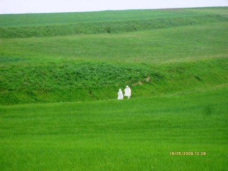 'Geister in Böheimkirchen' - dieses tolle Foto stellte uns unser Freund Erich Mickler zur Verfügung - DANKE