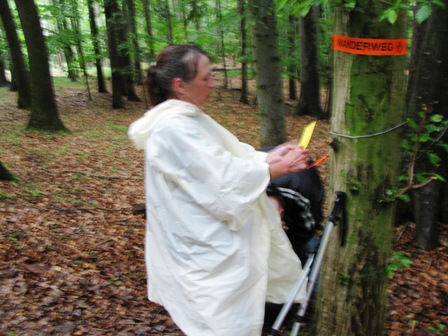 ...Richtung Selbstkontrolle im Wald am Eichberg