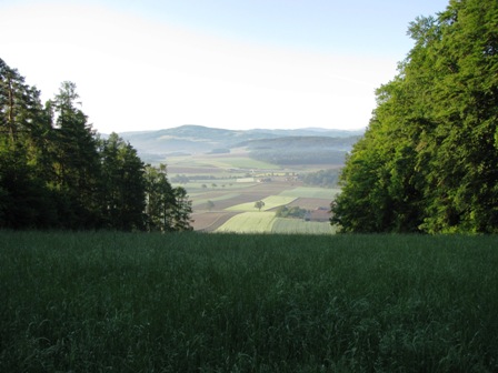 Blick über Felder und Wiesen