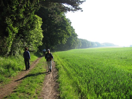 Flotte Gruppe entlang des Waldes