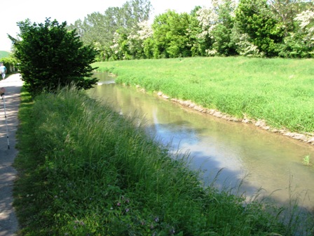 ...entlang vom Michelbach