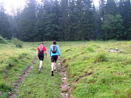 Wanderer über die Wiese zum Wald mit dem ersten steilen Anstieg