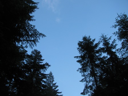 Das Wetter dürfte heute wieder einmal mitspielen - Gott sei Dank!