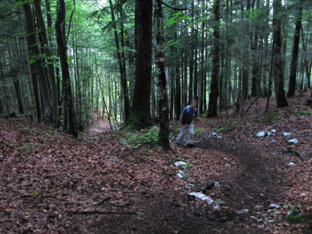 Steiler Anstieg durch den Wald