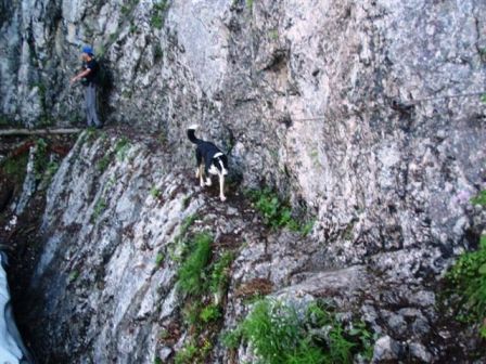 ...dann ein Hundi - der hat es etwas leichter...