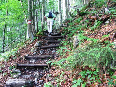 Unzählige harte Stufen sind zu erklimmen - hat unser Zirberl am Liebsten!