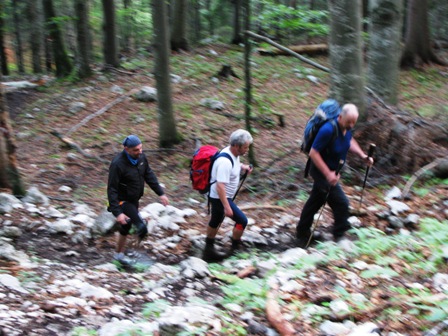 Die Freunde aus Bayern im Gänsemarsch