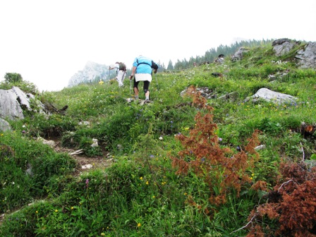 Die letzte Alm zur Vorderkoasafeldenhütte hats heuer ganz extrem in sich - ist nämlich glitschig wie ein Fisch