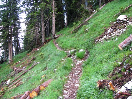 ...ist der Weiterweg Richtung Hochalm
