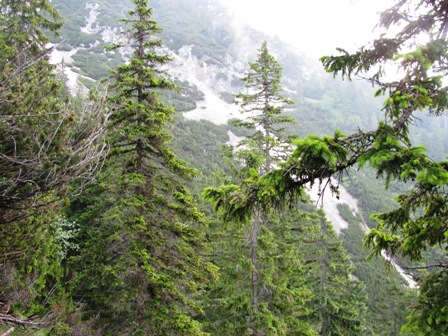 Diese Geröllhalden sind heute noch zu überwinden